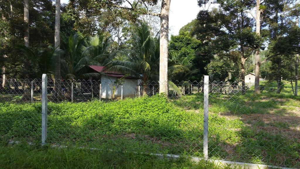 Chalet Kampong Semawar Kuala Kangsar Bagian luar foto